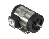 0.5 HP Stainless Washdown Motor