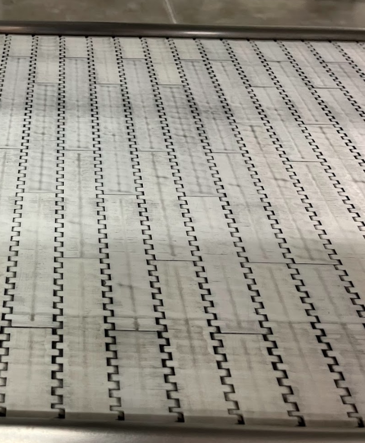 Modular plastic belting for BBC Technologies and TOMRA Blueberry Equipment.