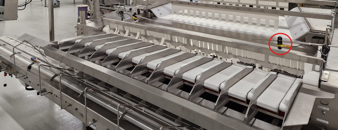 Photoelectric fruit sensor for BBC Technologies and TOMRA CURO.