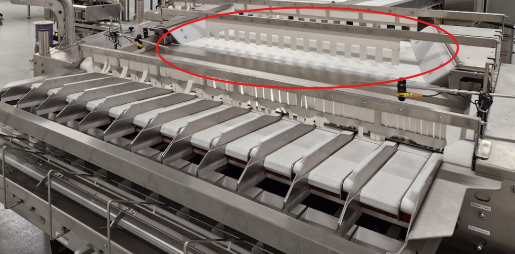 Plastic modular belting