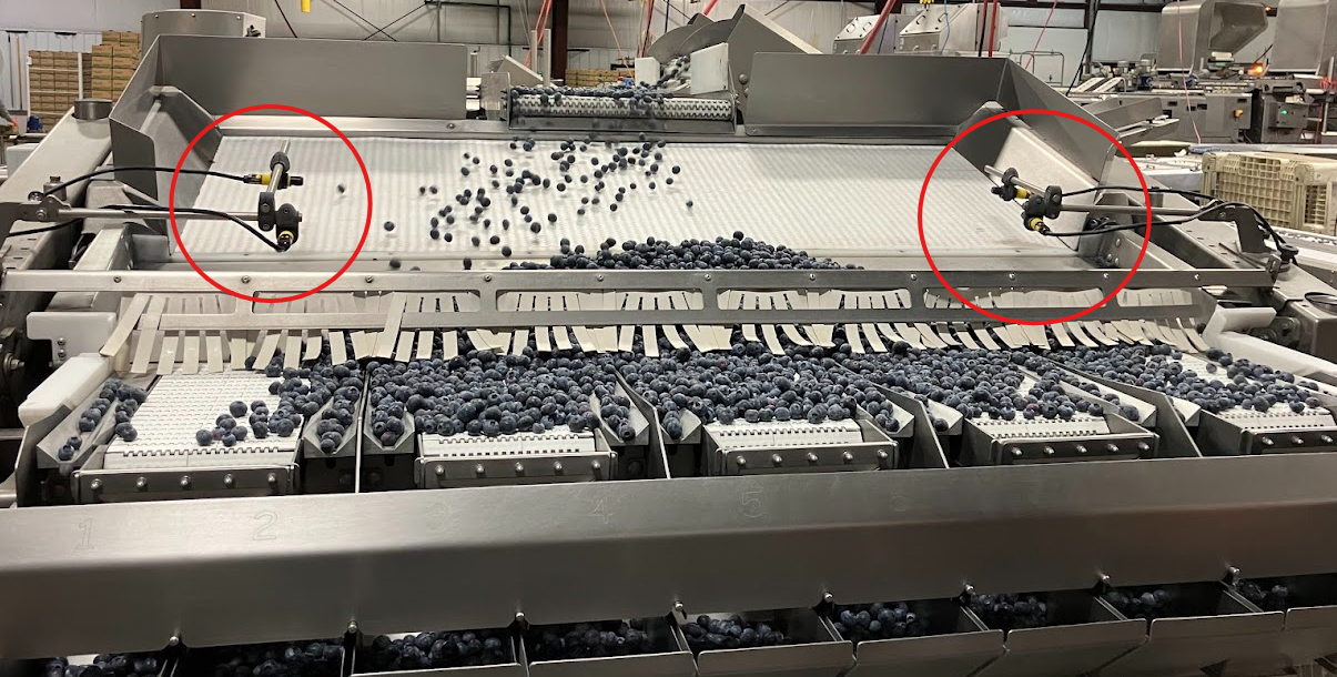 Fruit Sensor for BBC Technologies and TOMRA Blueberry FBW Mk5