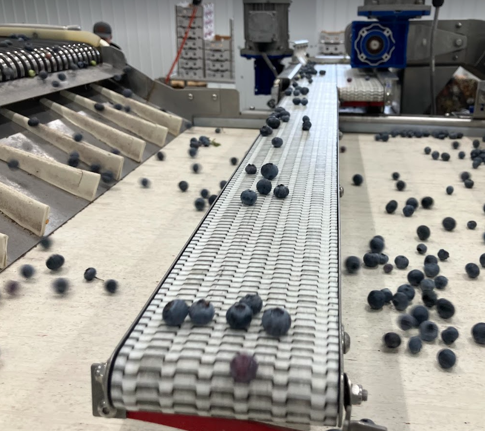 KATO Recirculation Feed On Belt