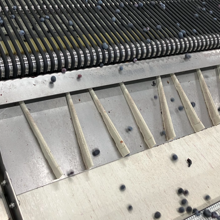 Accumulation Deflector - Replacement Foam