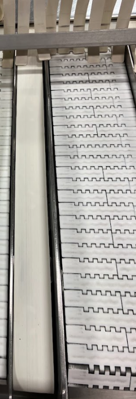 Modular plastic belting for the CURO Feed Belt.