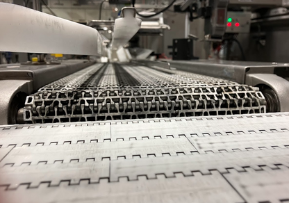 Plastic modular belt for BBC Technologies and TOMRA Blueberry Clamshell Lift Belt.