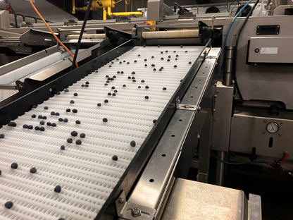 GSD Decline Conveyor