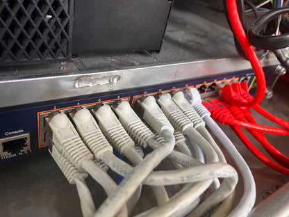 24 Port Ethernet Switch for CURO