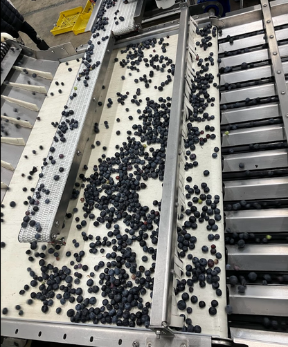 KATO Accumulation Conveyor Belt